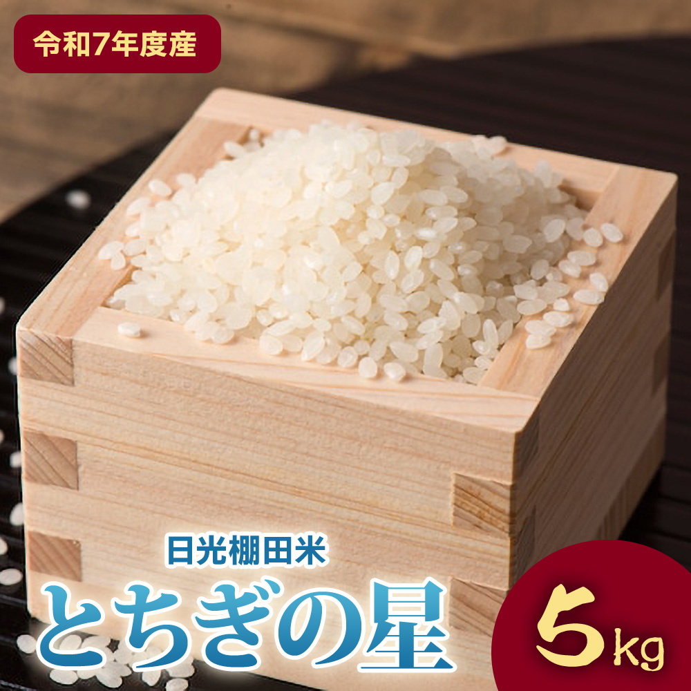 [令和7年度産] 日光棚田米「とちぎの星」 白米 5kg｜令和7年度米 数量限定 お米 精米 国産 日光産 産地直送 日光市 八木澤ファーム [0760]
