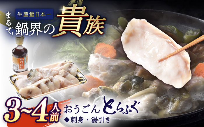 活〆おうごんとらふぐ鍋セット約400g【（有）松永水産】[KAB113]/ 長崎 平戸 魚介類 魚 鍋 とらふぐ ふぐ ポン酢 