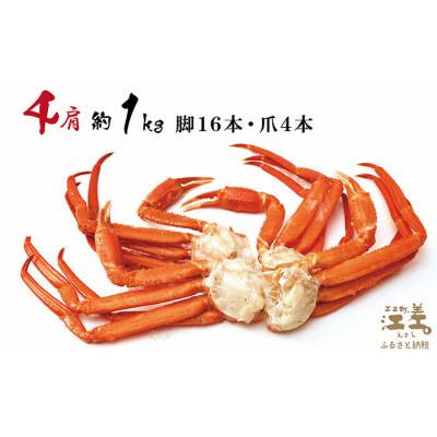 ふるさと納税 江差町 『北海道北前蟹』北海道日本海産 紅ずわいがに肩付き脚[殻付き]4肩　約1kg |  | 01
