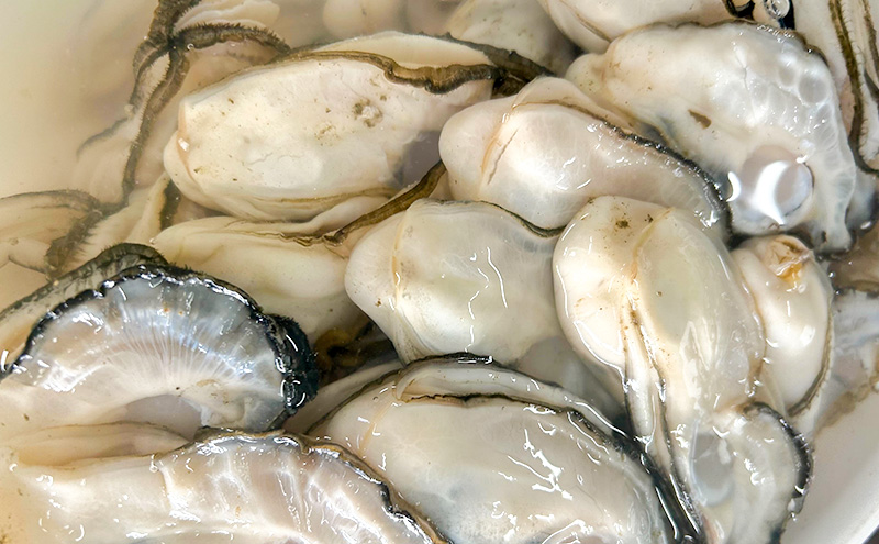 北海道 サロマ湖産 牡蠣 剥き身 500g×2 生食用 かき カキ 海鮮 魚介 国産 むき身 生牡蠣 冷蔵 産地直送 オホーツク 魚貝類