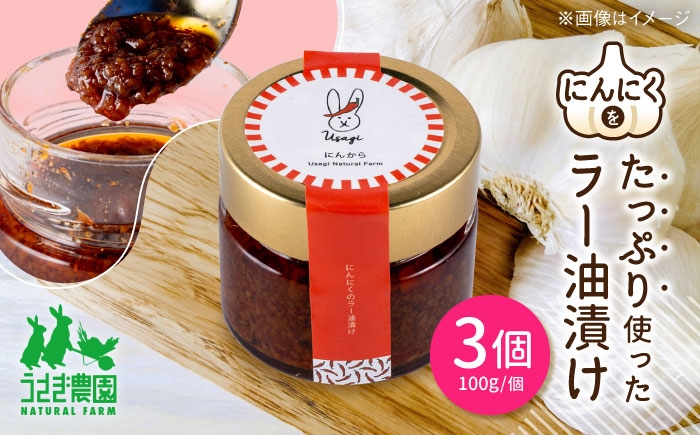 
                  にん辛 にんにくのラー油漬け 3個セット (100g×3個)【うさぎ農園】 [AYDJ004]
                