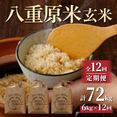 ふるさと納税 東御市 令和7年新米受付【12回定期便】八重原米6kg(2kg×3)玄米※2025年10月以降発送|笹屋農園