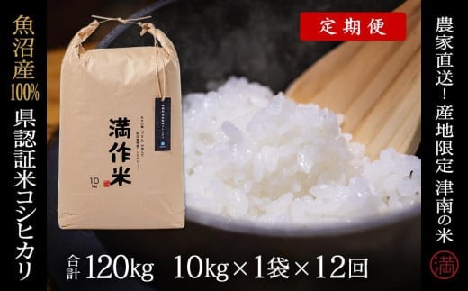【 定期便 12ヶ月 】 米 10kg × 12回 令和7年産 新米 魚沼産 コシヒカリ 特別栽培米 県認証 | BLコシヒカリ こしひかり お米 白米 精米 ブランド米 おすすめ 人気 新潟県 津南町