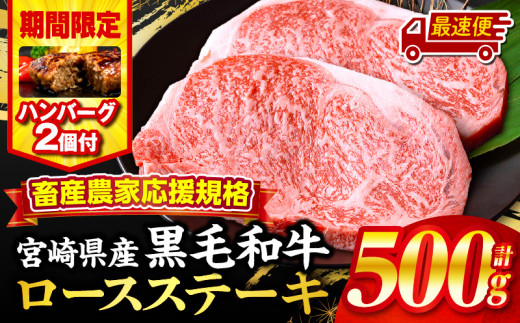 【最速便】【期間・数量限定】畜産農家応援！宮崎県産黒毛和牛ロースステーキ250g×2・国産牛ハンバーグ100g×2個_M132-091-B2-2W
