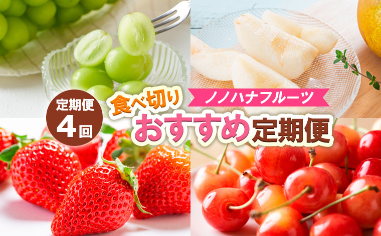 
                  【定期便4回】ノノハナフルーツ　食べ切りおすすめ定期便 FZ25-811
                
