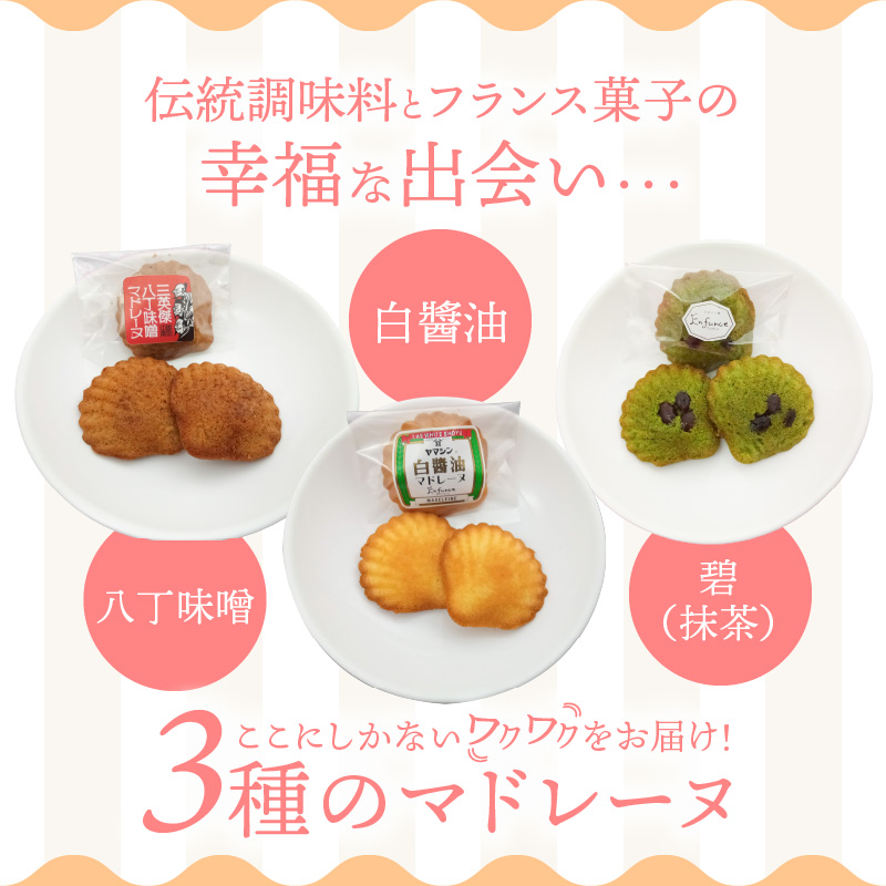 三河物語 三英傑セット～碧南が発祥の白しょう油 三英傑が愛した西尾の抹茶、徳川家康お膝元の八丁味噌を使ったマドレーヌの味くらべセット～12個入り H043-010