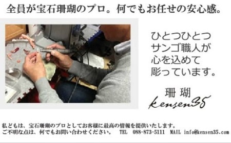 赤サンゴとダイヤモンドのK18ピアス アクセサリー ピアス ジュエリー 珊瑚 赤珊瑚 kn113
