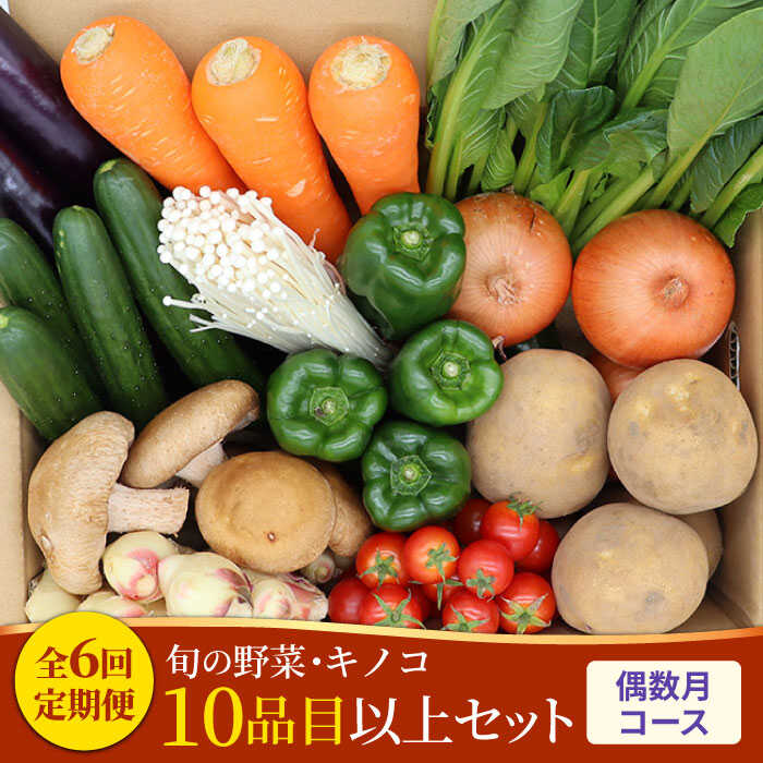 【偶数月コース】野菜 キノコ 10品目以上 詰め合わせ 6回 定期便  / 南島原市 / 吉岡青果 [SCZ006]_イメージ1