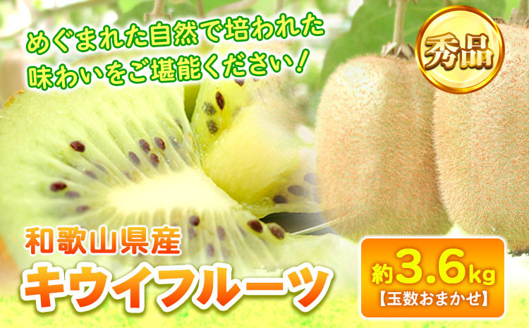 
            【先行予約】和歌山県産キウイフルーツ約3.6kg(サイズおまかせ)・秀品 紀の川市厳選館 《11月下旬-4月中旬頃出荷予定》 和歌山県 紀の川市 果物 フルーツ キウイ
          