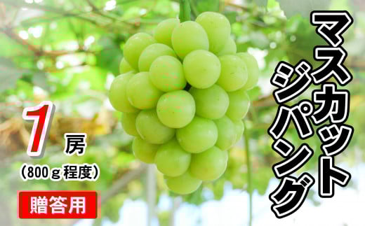 【贈答用】マスカットジパング（１房・800g程度）（林果樹園）