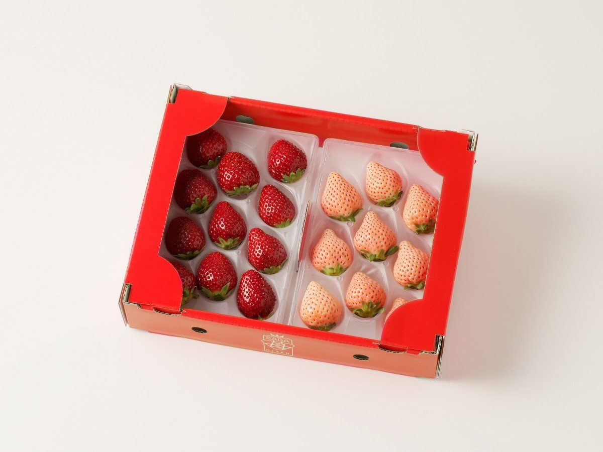 
                  ※先行予約【セット】【杉山いちご農園】果物／もも色いちご（淡雪）＆黒色いちご（真紅の美鈴） のいちご2種セット
                