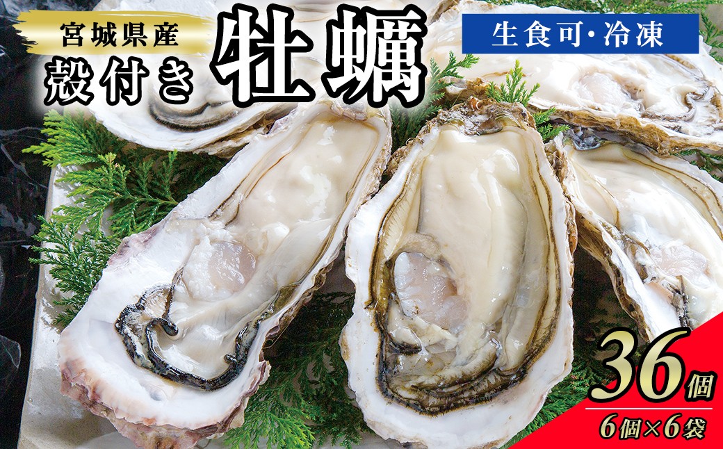 
                  殻付き牡蠣（生食用）冷凍 36個（約3kg）生牡蠣 宮城県産 牡蛎 牡蠣 カキ かき 生食 オイスター カキフライ 牡蠣鍋 海鮮 国産 魚貝類 バーベキュー BBQ 【末永海産株式会社】tm714
                
