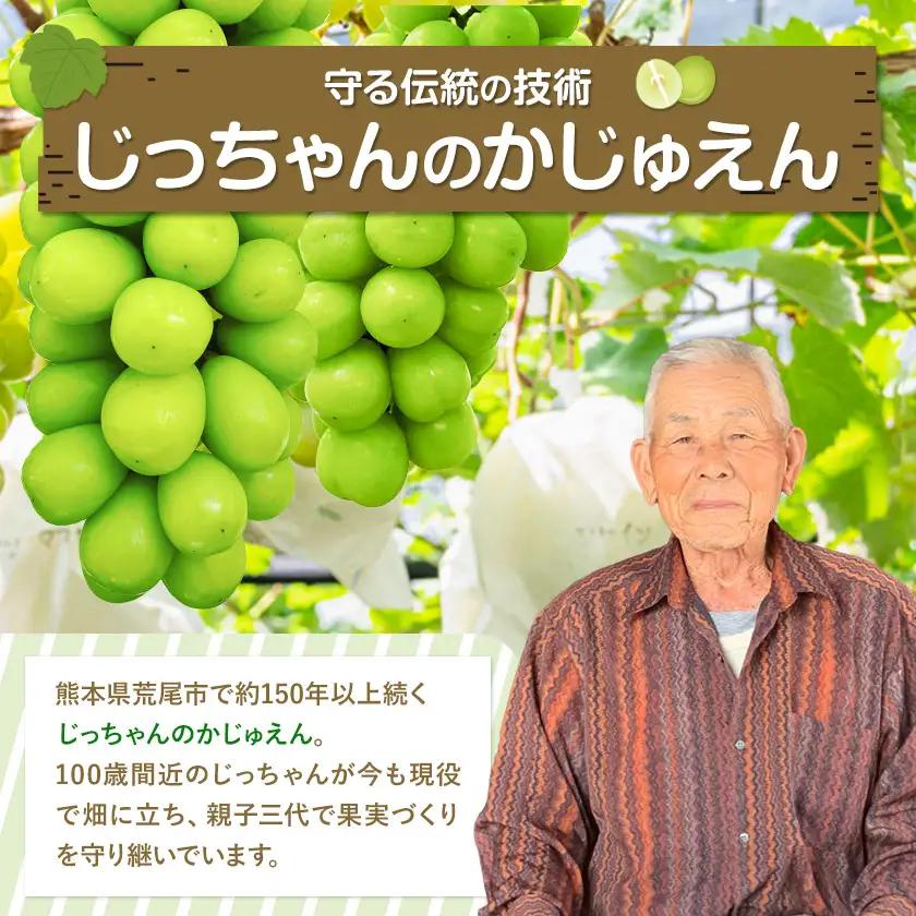 シャインマスカット 2kg じっちゃんのかじゅえん《8月上旬-9月下旬頃出荷》