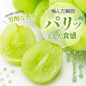 【2026年発送★先行予約】山梨県産 大房 シャインマスカット1房（700g以上） 180-001