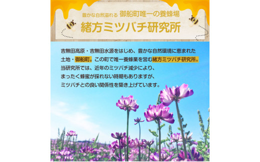 熊本県御船町産 純粋はちみつ600g 御船町観光協会 《30日以内に出荷予定(土日祝除く)》---sm_mkhoneyn_30d_23_12500_600g---