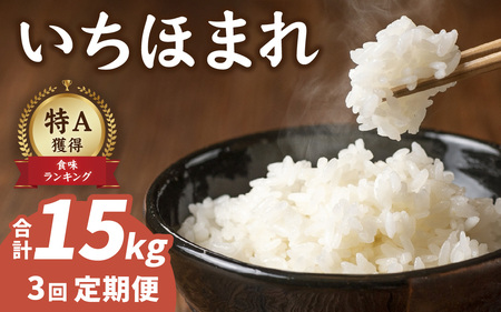 【3ヶ月連続お届け】【農家直送】【令和7年産】いちほまれ 5kg×1袋×3ヶ月（計15kg） 特別栽培米 福井 ブランド米 令和七年 5キロ 令和7年