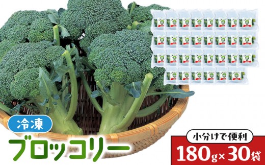 
                  JA香川県　冷凍ブロッコリー30袋【 ブロッコリー  冷凍 カット 野菜 冷凍ブロッコリー 小分け 時短 弁当 簡単 調理 便利 国産 香川県 高松市 】
                