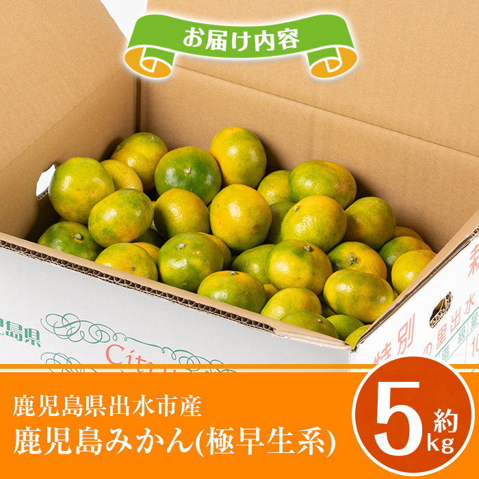 i1171 《数量・期間限定》鹿児島みかん（極早生系・約5kg） みかん 蜜柑 ミカン 柑橘 極早生 10kg 果物 フルーツ 果実 国産 鹿児島 訳あり 【江崎果樹園】