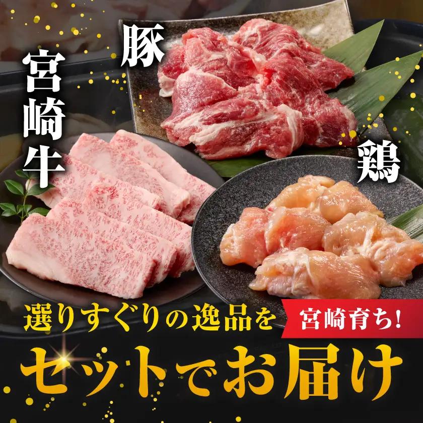 宮崎県産≪宮崎牛・豚・鶏≫3種の焼肉セット300g×10パック≪みやこんじょ快速便≫〔28-89-003-3kg-R〕_(都城市)  宮崎県産 焼肉セット 宮崎牛バラ 豚肉(ロース又は肩ロース) 鶏モ