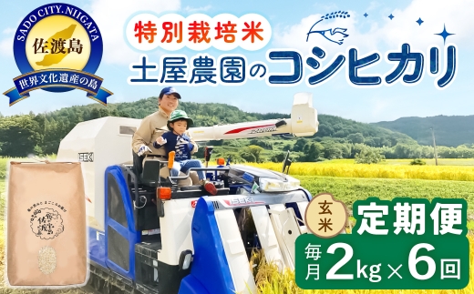 【定期便 令和8年産新米 6か月】 佐渡島産コシヒカリ 玄米 2Kg 令和8年産新米 特別栽培米 土屋農園 | 新潟県産コシヒカリ 新潟産コシヒカリ 佐渡産コシヒカリ 新潟県産こしひかり 佐渡産こしひかり お米 米 こしひかり 玄米 げんまい おこめ コメ 2キロ にいがた さど 新潟県 佐渡市