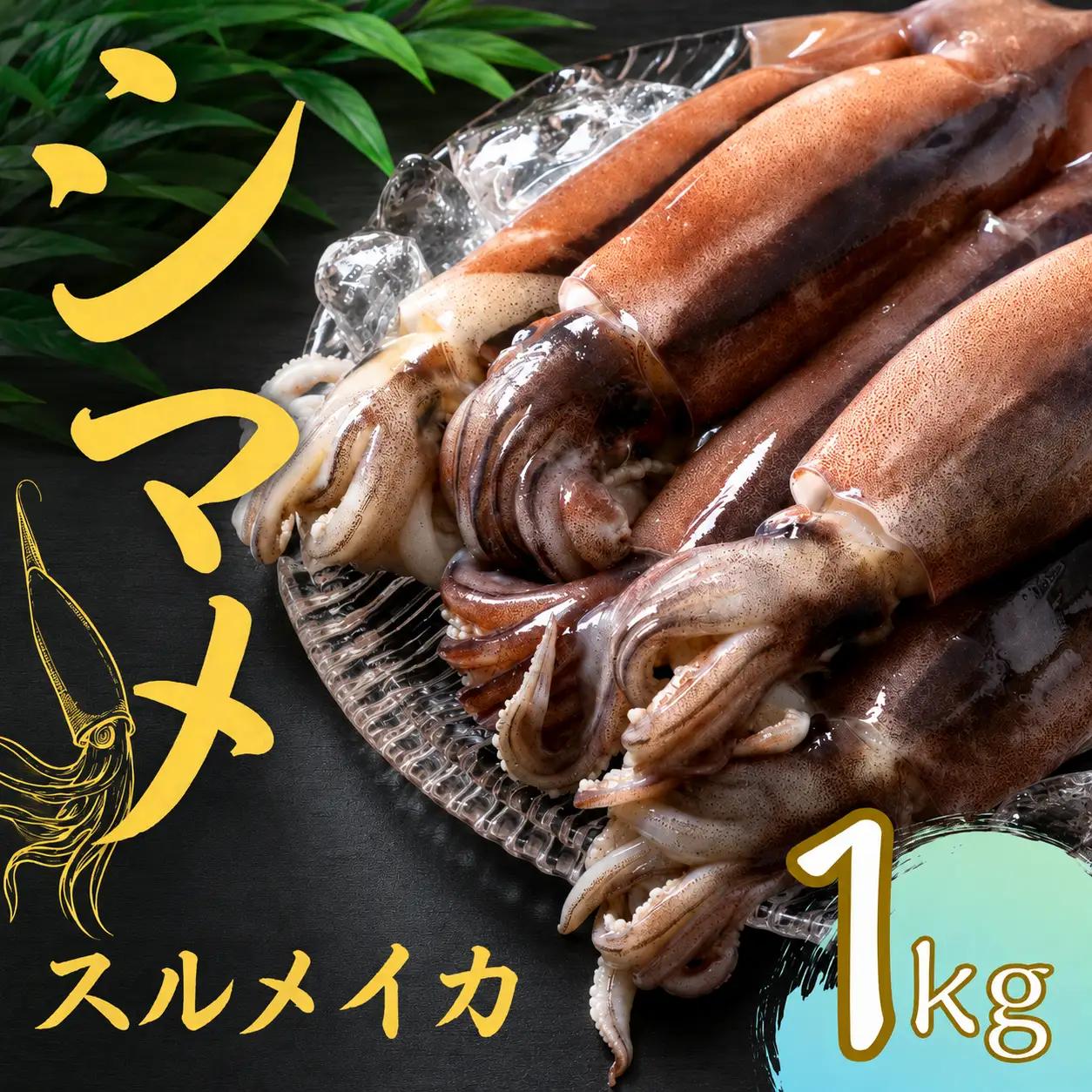 スルメイカ 5～6本（1kg以上） イカ