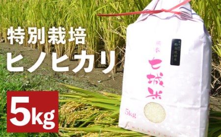 つるたファームの極ヒノヒカリ 5kg お米 ご飯