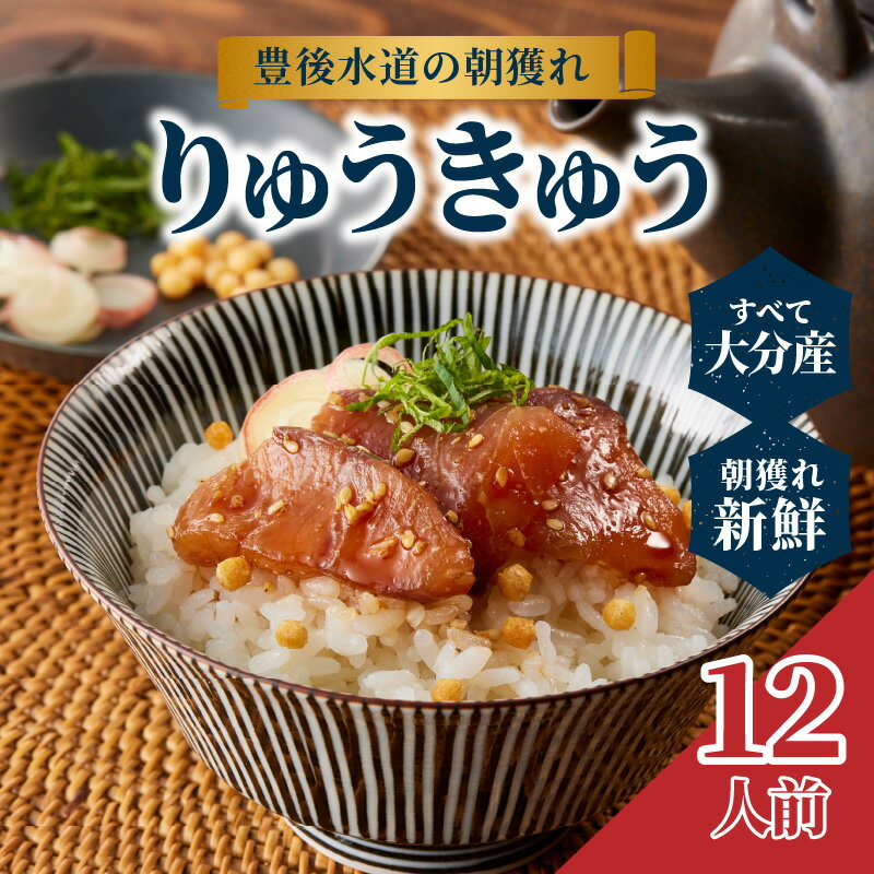 【ふるさと納税】 《レビューキャンペーン》豊後水道の朝獲れ りゅうきゅう 12人前 大分郷土 郷土料理 鮮魚 急速冷凍 真空パック 煎りごま すりごま 海鮮丼 刺身 ブリ 鯛 小分け 魚介類 大分産 名物 海鮮 冷凍 E22030
