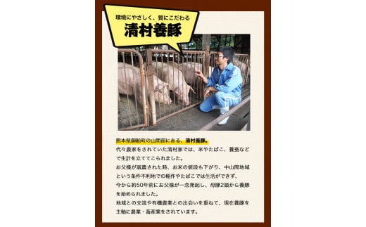 まうごつうまかとんかつセット 1kg 清村養豚《60日以内に出荷予定(土日祝除く)》 ロース ヒレ 肩ロース とんかつ かつ丼 ---sm_fkymau_60d_22_14500_1kg---
