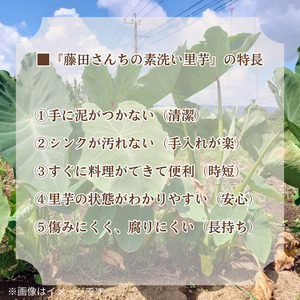 里芋 さといも 芋 いも 10kg 女早生 新鮮 柔らかい やわらかい もっちり あまい 四国中央市産