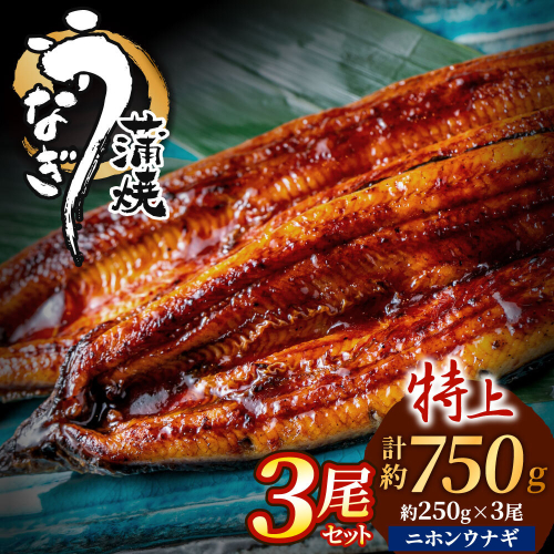 AE202.うなぎ蒲焼き3尾セット（約250g×3尾）