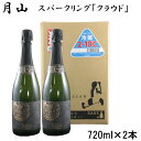 【ふるさと納税】 月山 スパークリング 「 クラウド 」720ml × 2本 炭酸 酒 清酒 ギフト 包装 熨斗対応可