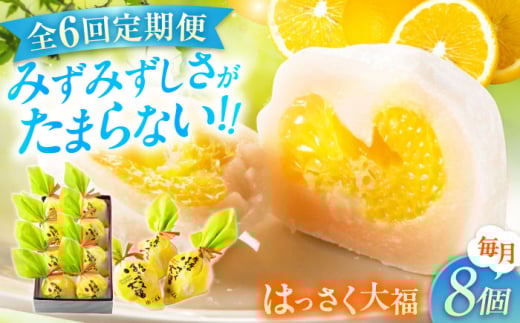 【ふるさと納税】【全6回定期便】お菓子 はっさく大福8個入　 お菓子 大福 八朔 柑橘 みかん オレンジ 餅 ギフト お取り寄せ スイーツ フルーツ大福 ご当地 菓子 おかし デザート 食品 人気 おすすめ 広島県福山市/株式会社虎屋本舗[BADH023]