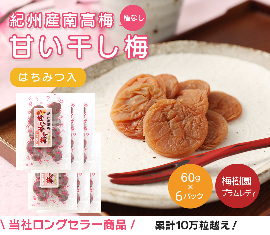 種なし干し梅60g×6袋(はちみつ入) 紀州南高梅 和歌山県産【baijuen003B】
