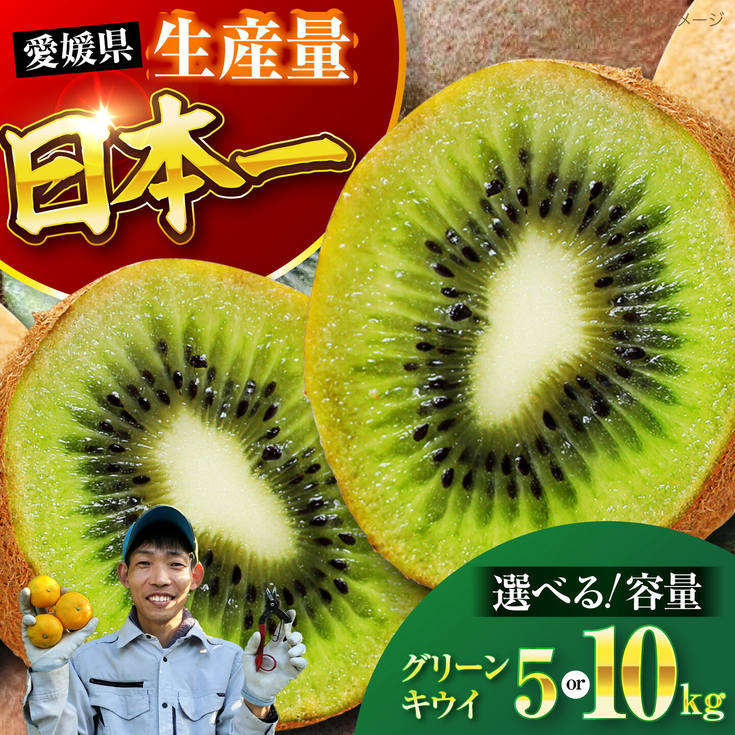 【ふるさと納税】キウイ 【先行予約】【2026年11月中旬より順次配送】【選べる容量】 グリーン キウイ 5kg （約40から50玉）or 10kg （約90から100玉） 国産 ビタミンC スムージー デザート 果物 くだもの フルーツ お取り寄せ 送料無料 大洲市/玉川農園[AGBC007]