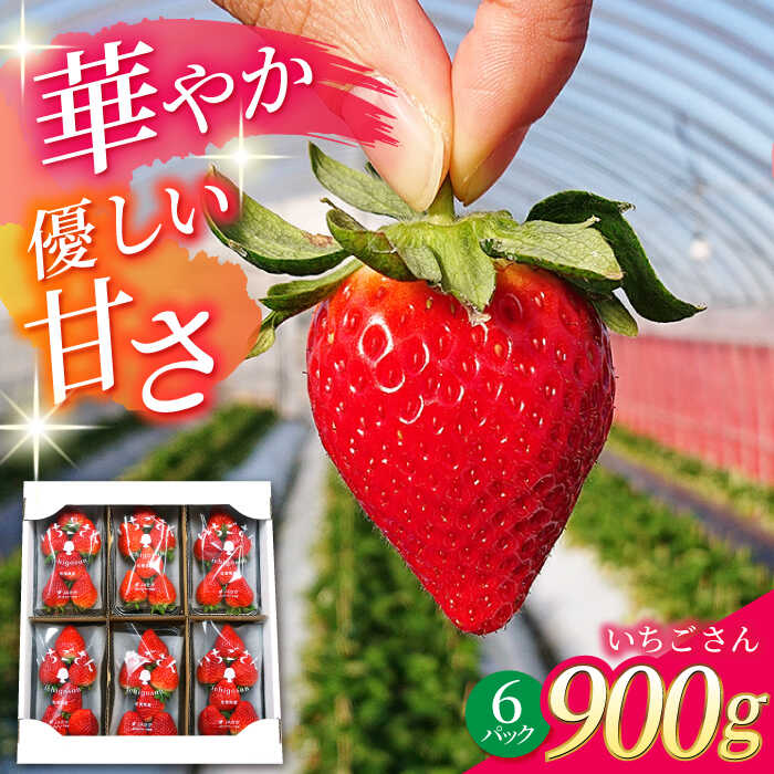 【ふるさと納税】 【R8年1月以降発送】 白石町産 いちごさん （150g×6パック） 【佐賀県農業協同組合】イチゴ 苺 大容量 果物 フルーツ 佐賀県 白石町 [IAK016]