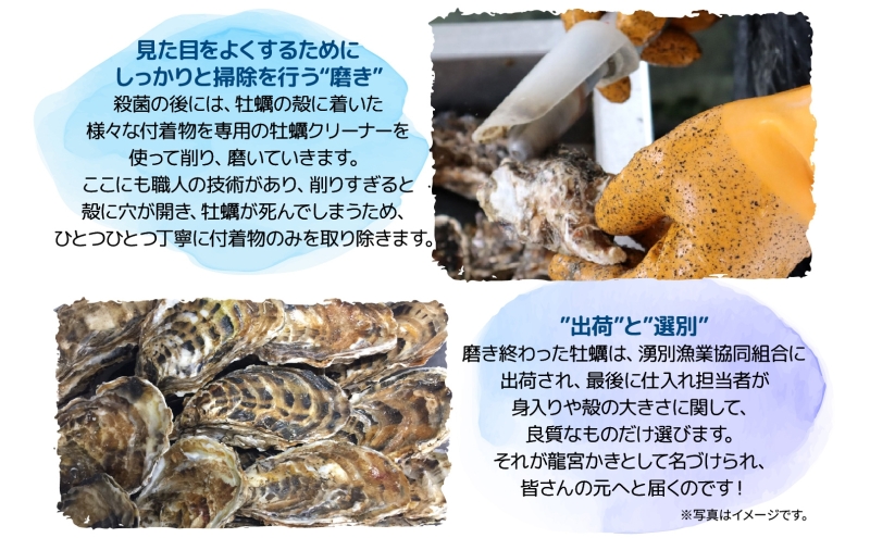 北海道 サロマ湖産 龍宮牡蠣 4kg（ 2年物 殻付き カキ ）カキナイフ付 牡蠣 海鮮 魚介 国産 貝付き 生牡蠣 生食 焼き牡蠣 蒸し牡蠣 冷蔵 産地直送 オホーツク