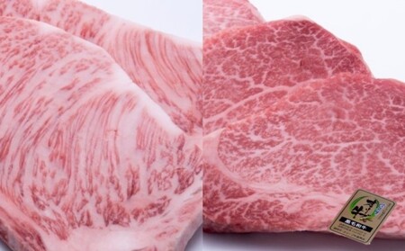 オリーブ牛 ヒレ ロース ステーキ 牛肉 オリーブ牛【ヒレ3枚500g ロース2枚500g】