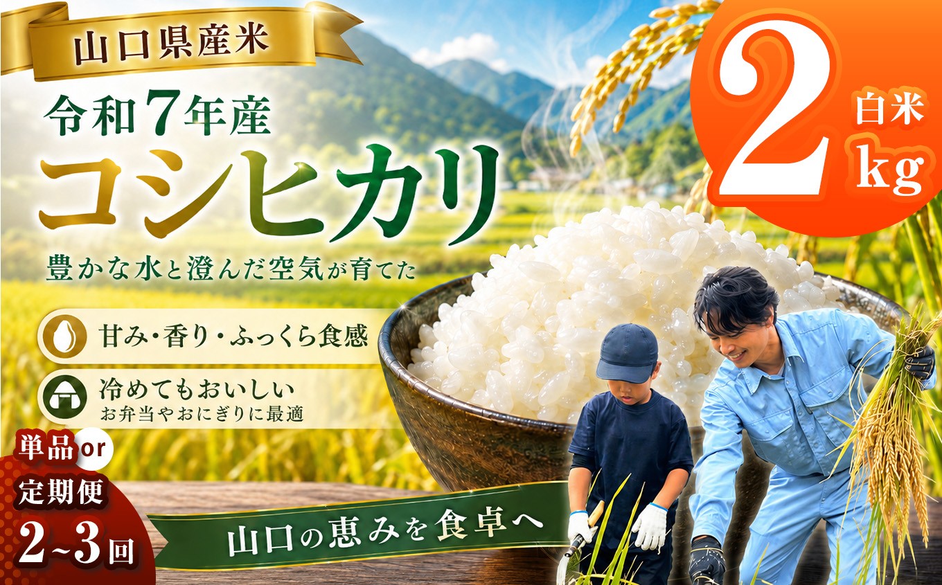 
                  令和7年産 山口県産米 コシヒカリ 2kg 【 単品 / 定期便 】 選べる 配送回数 1回 2回 3回 ｜ 令和7年産 こしひかり 山口県産米 こめ お米 コメ 白米 精米 ごはん ご飯 瀬戸内 山口県 平生町 2kg
                