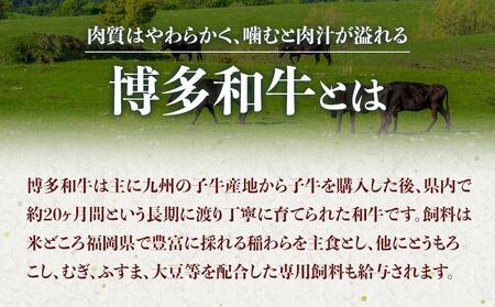 博多和牛A4ランク以上切り落とし 1kg（500g×2P）