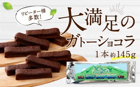 南阿蘇鉄道 トロッコショコラ 10本（約145g×10本）【2026年5月発送】菓子 お菓子 焼き菓子 チョコ風味 ショコラ ガトーショコラ 個包装 小分け