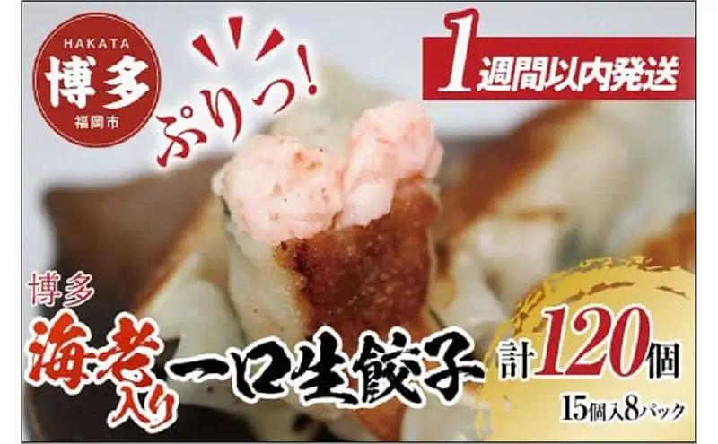 【1週間以内に発送！】博多エビ入り一口生餃子 小分け便利 創業40年以上福岡老舗会社製造 | エビ餃子 冷凍餃子 海老餃子 博多一口餃子 ふるさと納税餃子 ぎょうざ ギョーザ 小分け 惣菜 冷凍食品 納税 お取り寄せ 福岡市