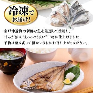 【高知県室戸市】 脂乗り抜群 アジ干物 3回定期便（鯵 あじ 8枚×3回 合計24枚） 室戸海洋深層水仕込み 国産 冷凍 魚介 海鮮 ギフト 酒の肴