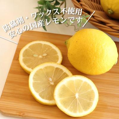 ふるさと納税 日高町 【ノーワックス】国産 紀州 レモン 約3kg(サイズおまかせ)　★先行受付★ |  | 01