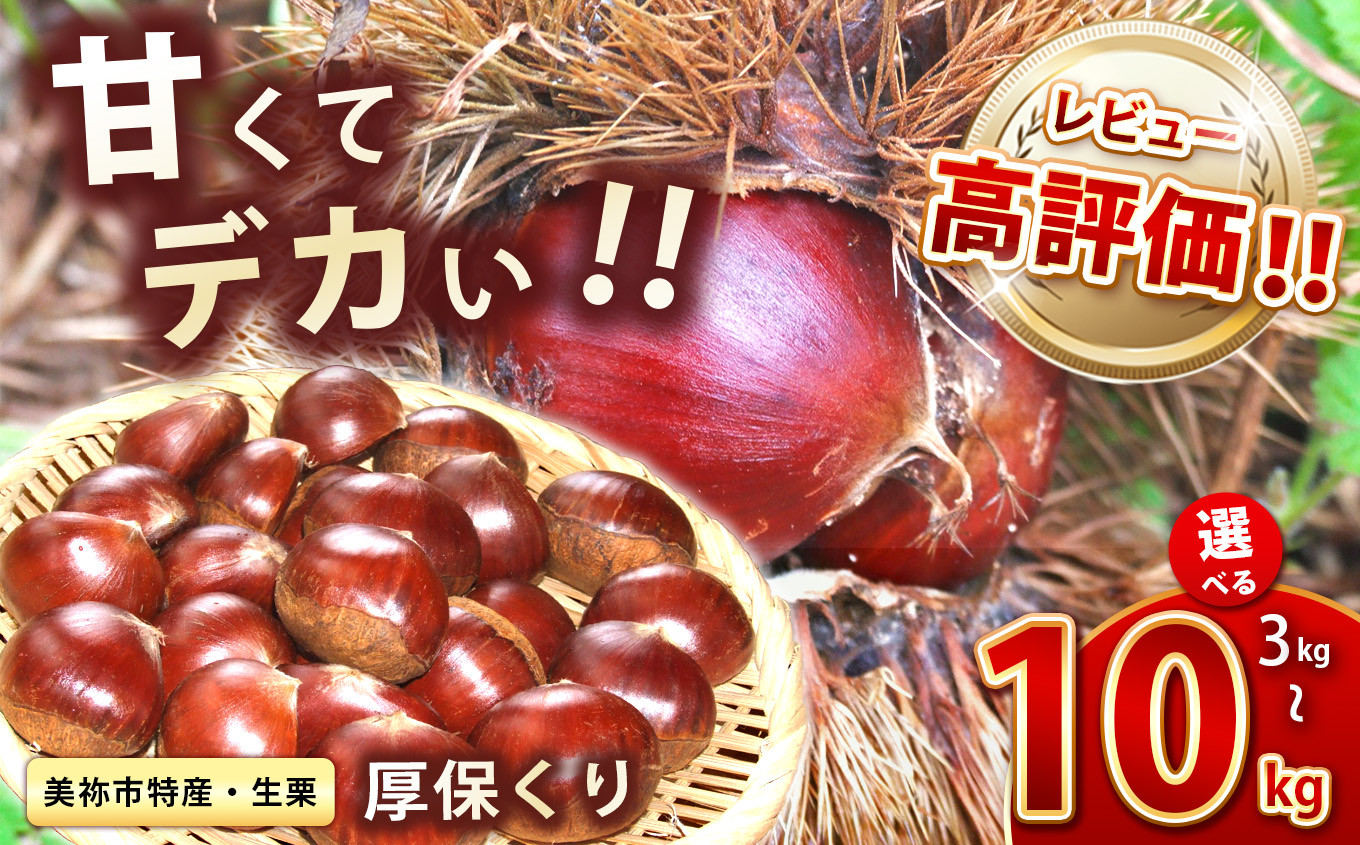 
            【先行予約】甘くて デカい ! 厚保くり ( 生栗 ) 3kg 5kg 10kg 山口美祢産 先行予約 ＜2025年10月上旬～11月中旬 発送予定＞ 2Ｌサイズ ｜  山口 美祢 栗 くり 厚保 大きい 甘い 特産品 焼き栗 栗ご飯 生栗 期間限定 季節限定 先行予約 3kg 5kg 10kg
          