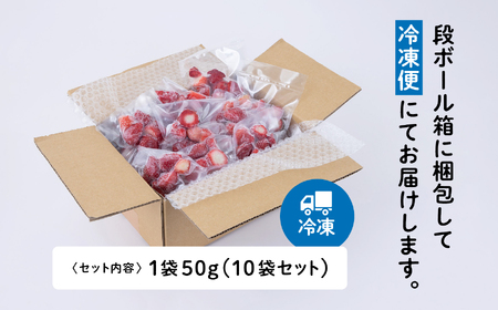 《 訳あり 》 冷凍いちご 食べきり 規格外 不揃い 完熟 国産 採れたて 10袋 真空 個包装 バラ冷凍 ヘタなし 葉なし 冷凍 選べる いちご 苺 人気 送料無料【フルーツパークDETO】