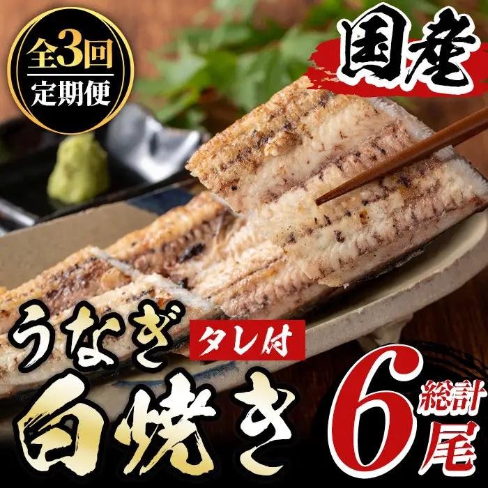 《定期便・全3回》国産！うなぎ白焼き(2尾×3回・タレ付き) 国産 九州産 鰻 ウナギ 無頭 魚 魚介類 かばやき 蒲焼 蒲焼き しろやき 白焼 おかず 特産品 お土産 ギフト プレゼント 冷蔵 定期便【尾方屋】_y491