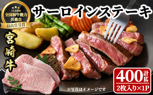 
宮崎牛 サーロインステーキ(計400g・2枚) 希少部位 BBQ 牛肉 肉 ブランド牛 冷凍 国産 精肉 お取り寄せ 黒毛和牛 宮崎県 【LJ015】【レグセントジョイラー株式会社】
