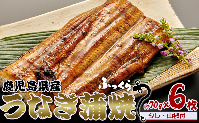 鹿児島県産　うなぎ蒲焼　約70g×6枚【タレ・山椒付】 鹿児島県 奄美群島 奄美大島 龍郷町 国産 うなぎ ウナギ 鰻 かば焼き 蒲焼 うな丼 タレ付 魚介 贅沢 ご褒美 真空パック 小分け お取り寄せ プレゼント ギフト
