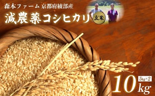 【令和7年度産 先行予約】 減農薬コシヒカリ 玄米 10kg 【 米 コシヒカリ こしひかり 10キロ 10kg 玄米 こめ コメ お米 おこめ 農家直送 減農薬 低農薬 綾部 京都 森本ファーム 】