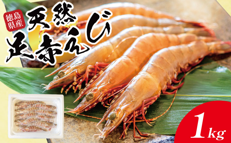 えび 足赤海老 1kg  海老 天然 えび あしあかえび 冷凍 鮮度そのまま 海老 刺身 甘い エビフライ 塩焼き 殻付き プリプリ ebi エビ 天然えび 徳島